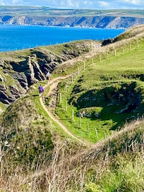 Coastal path near Port Isaac