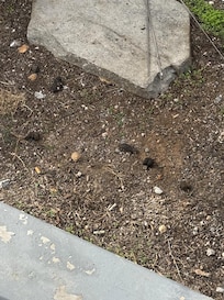 Example of dog poop on property, poor condition of the back pool deck