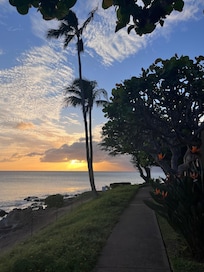 The view from the condo property.