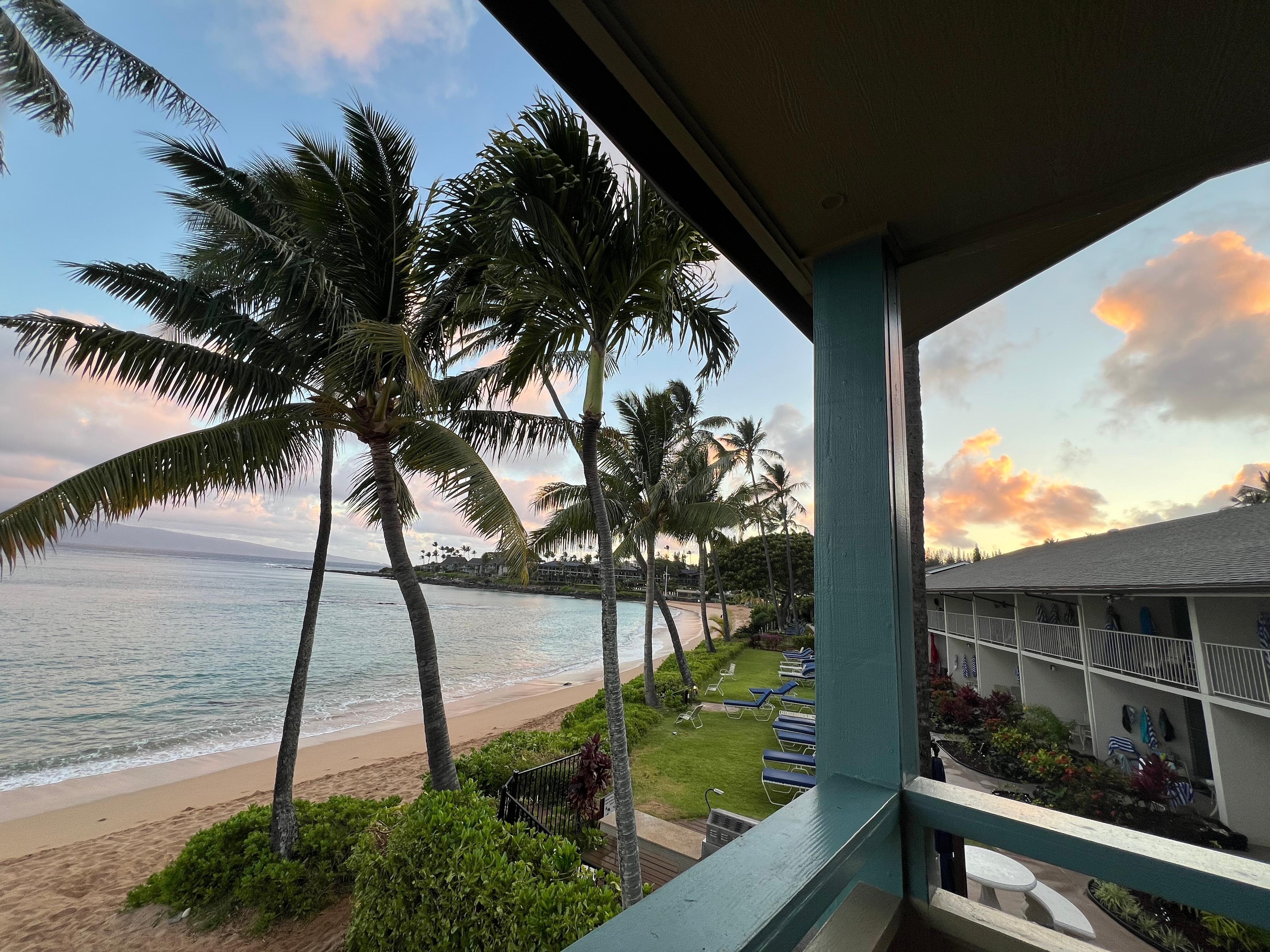 Morning view