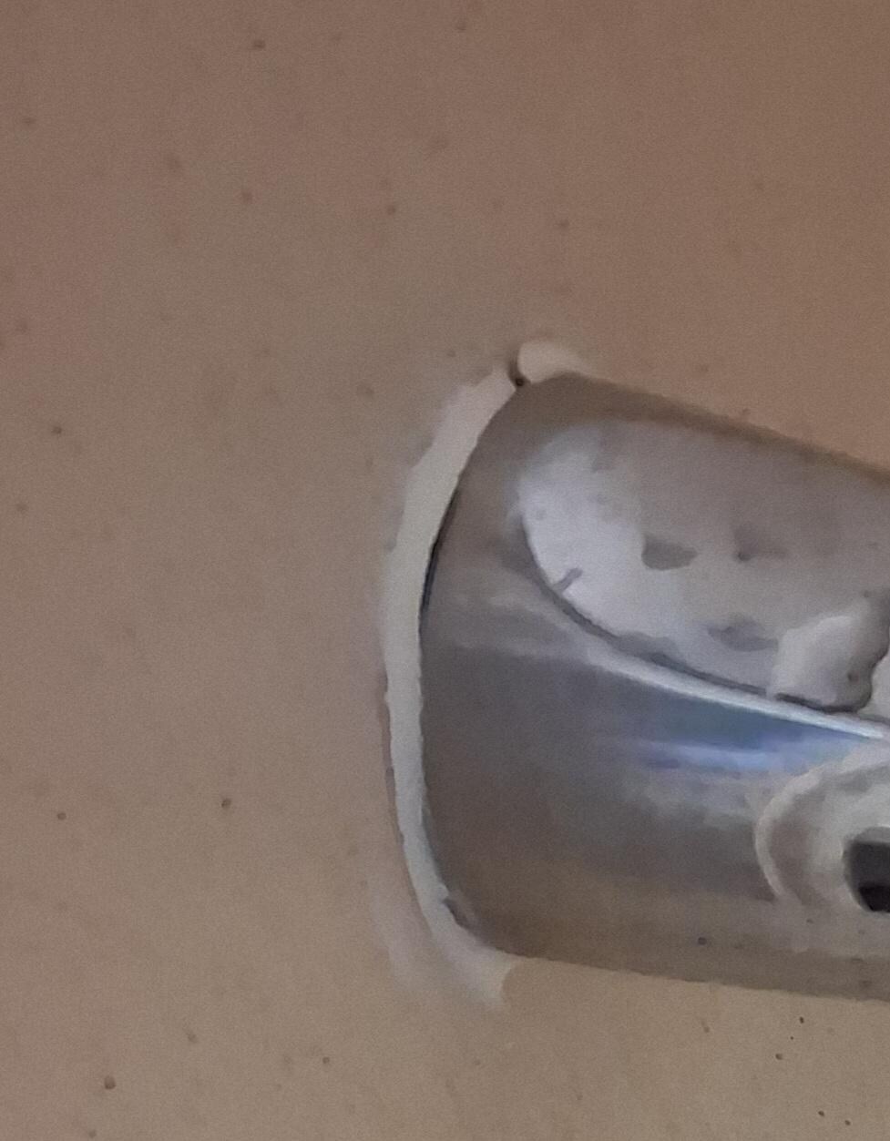 Plaster around fossil