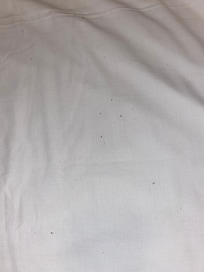 Sheet with small red dots (hopefully just crumbs and not bed bugs) and hair.