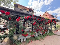 Giant roses outside the dining area