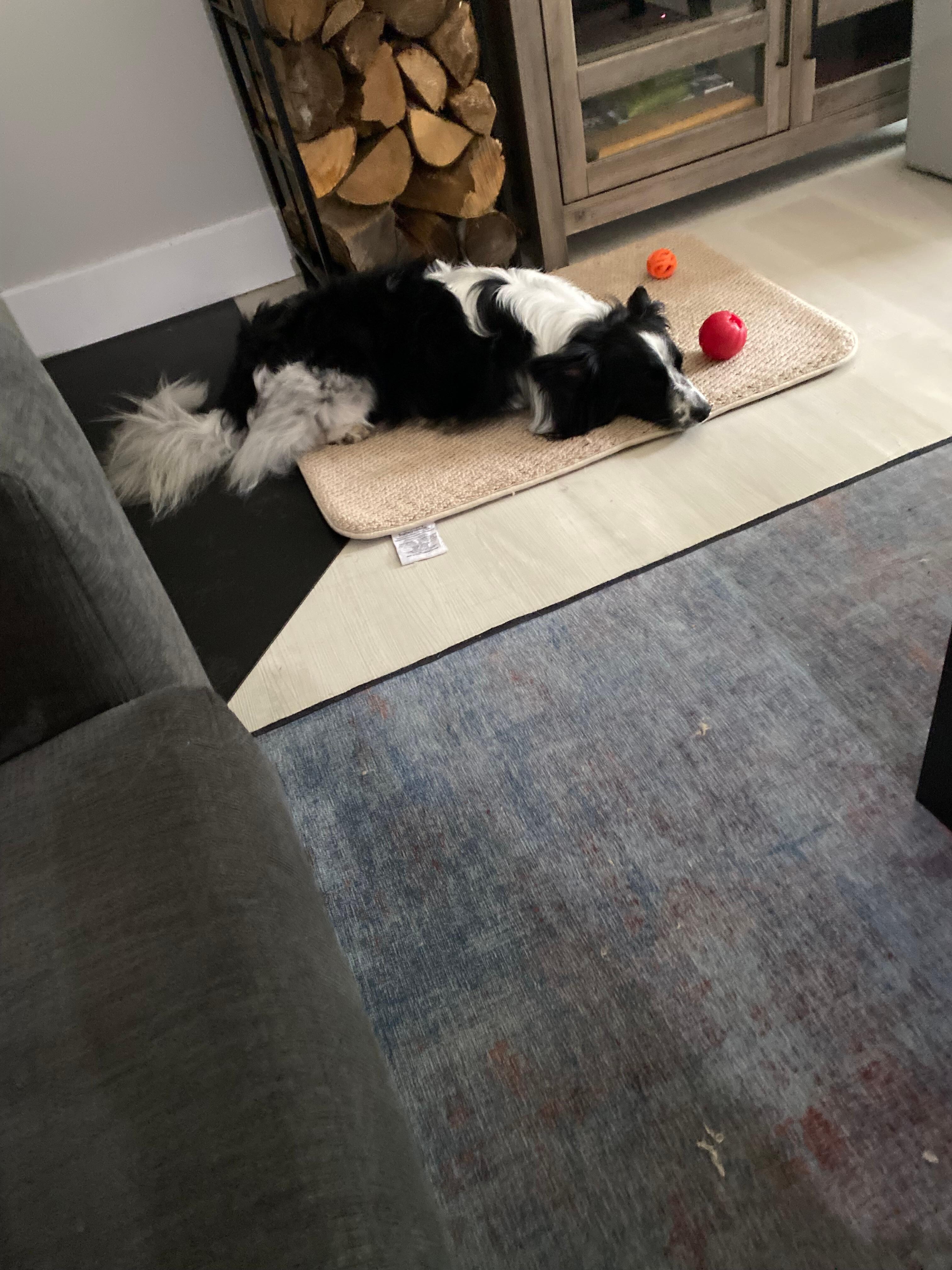 Pepper is so relax.