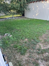 Fenced in back yard - not even puppy wanted to be there.