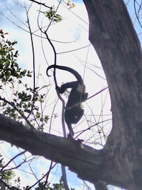 on the path between playa penca and pietra