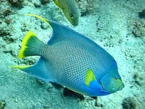 Scuba Trip, I will stay at this location again, Mr. Dejon took care of our check in!