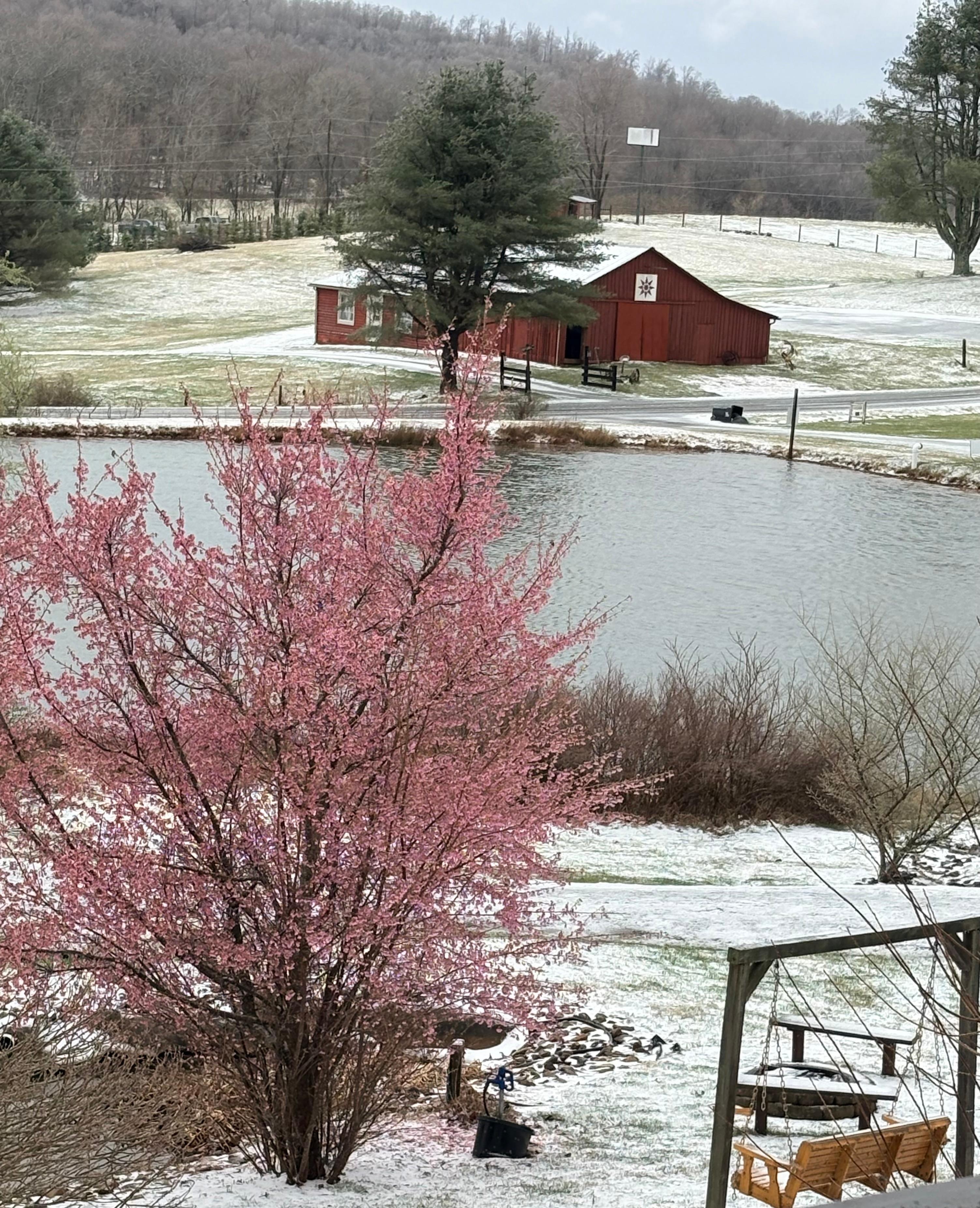 The pond on day 3 of our stay 33°F and snow - Virginia weather
