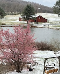 The pond on day 3 of our stay 33°F and snow - Virginia weather