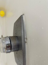 Black mold on all tub/shower fixtures