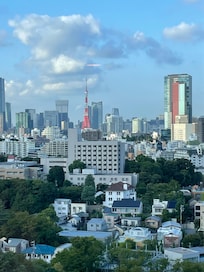 Tokyo Tower room view day time