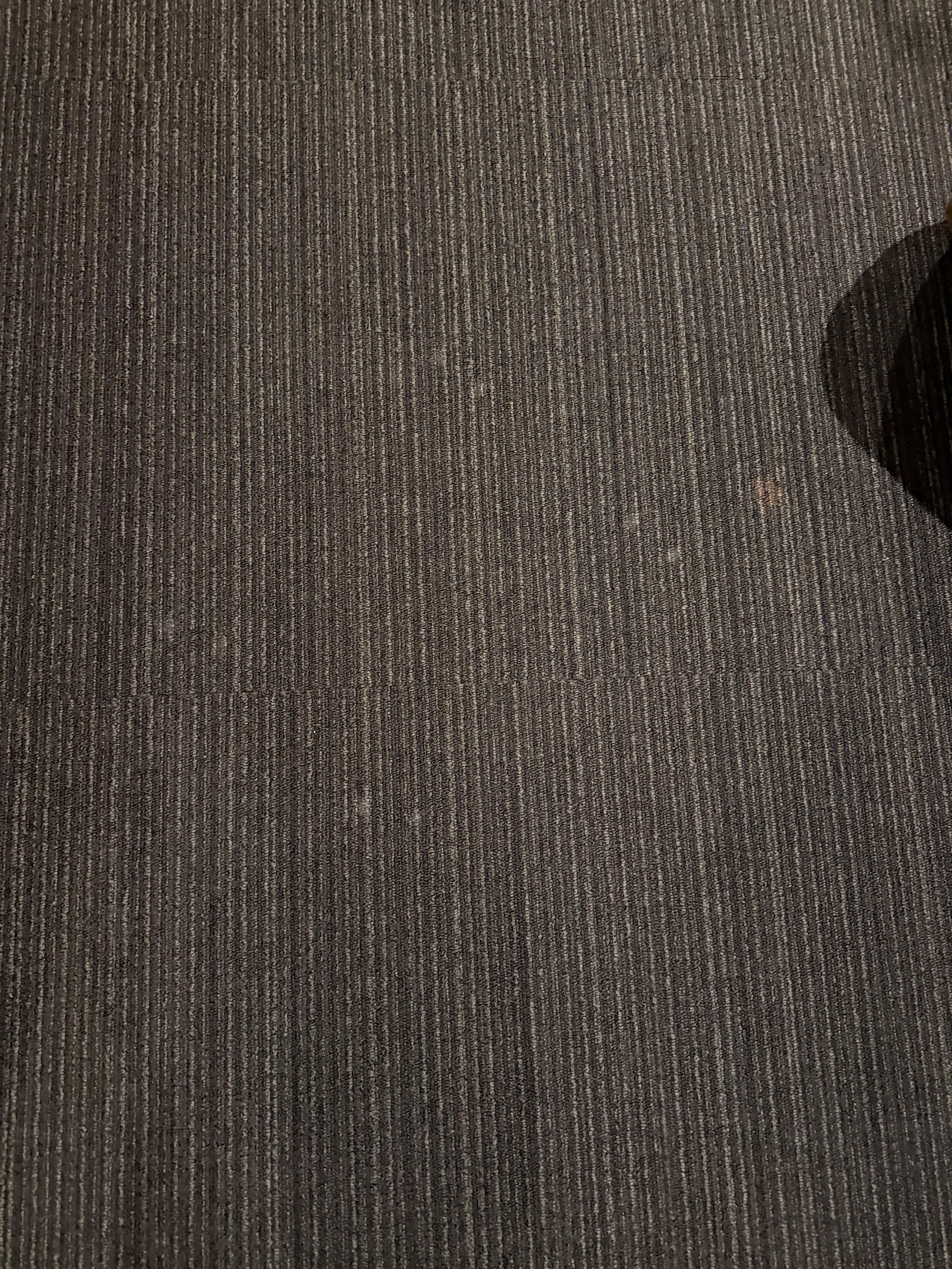White spots on carpet.