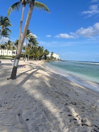 The beach
