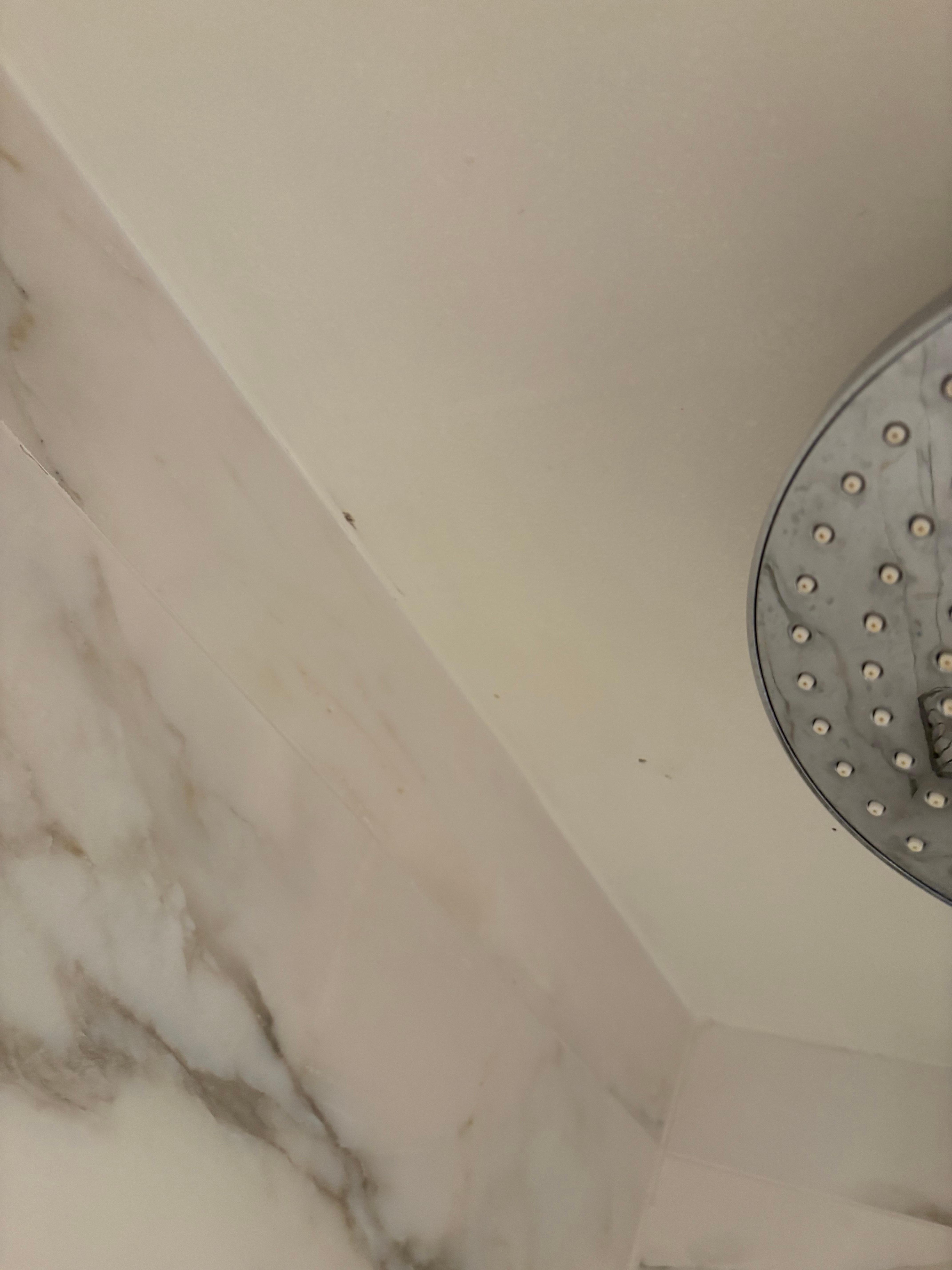 Black mold on ceiling in shower