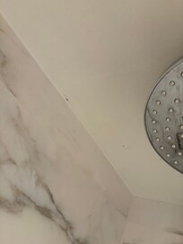 Black mold on ceiling in shower