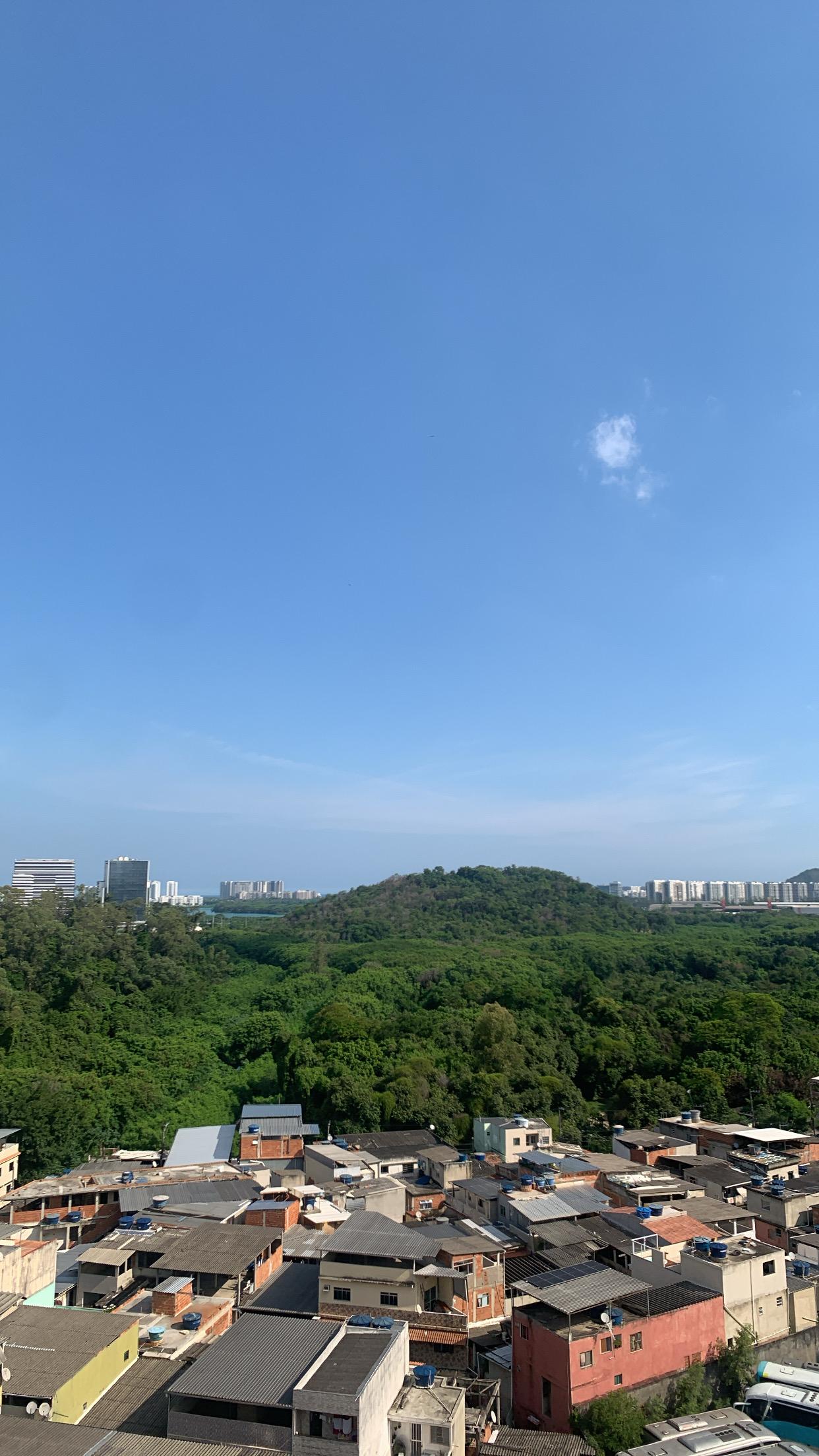 Vista