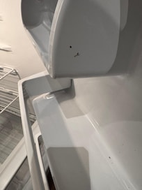 This picture, a dead roach in the refrigerator