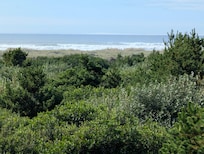 View from the room