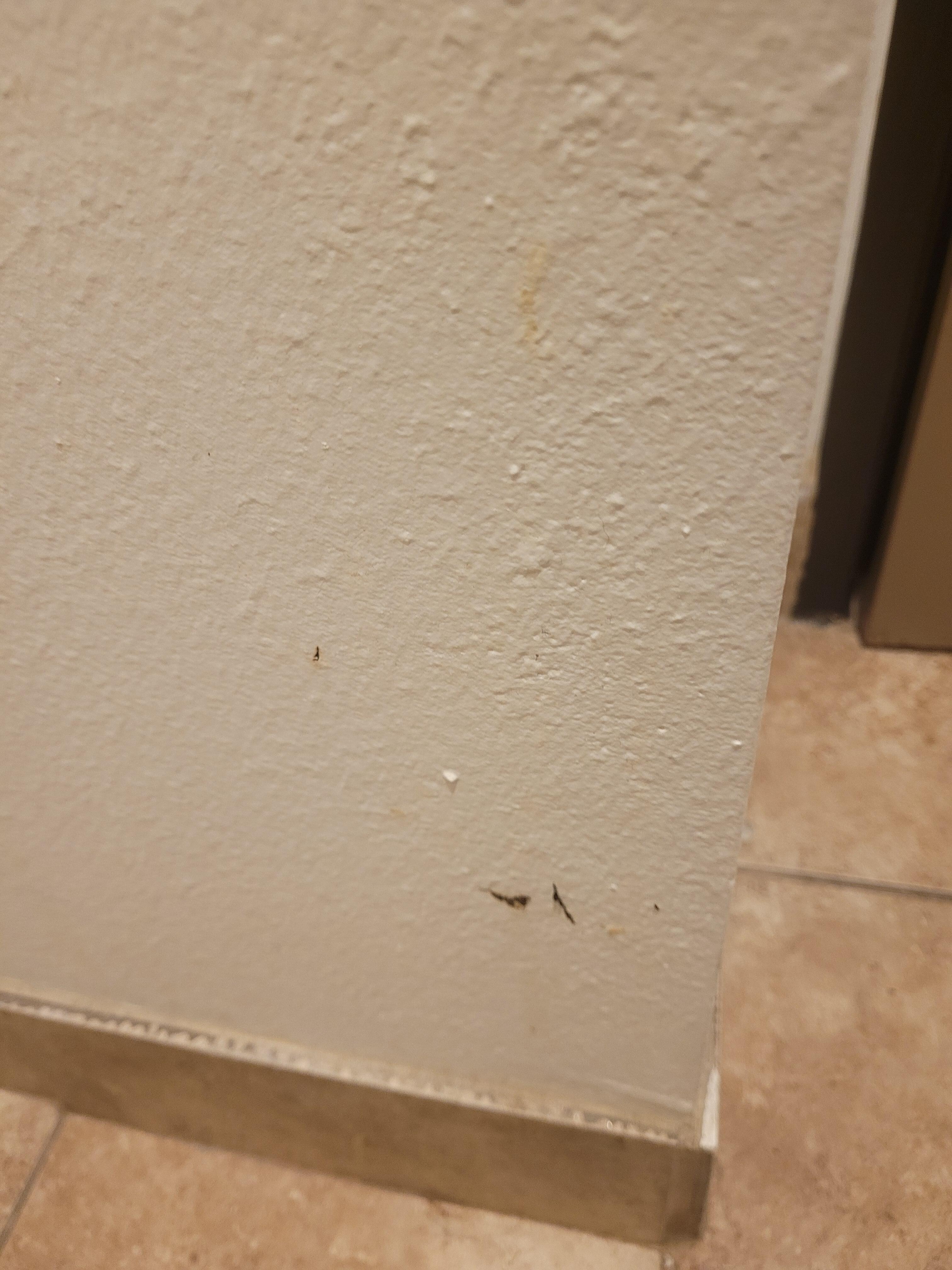 wall by toilet
