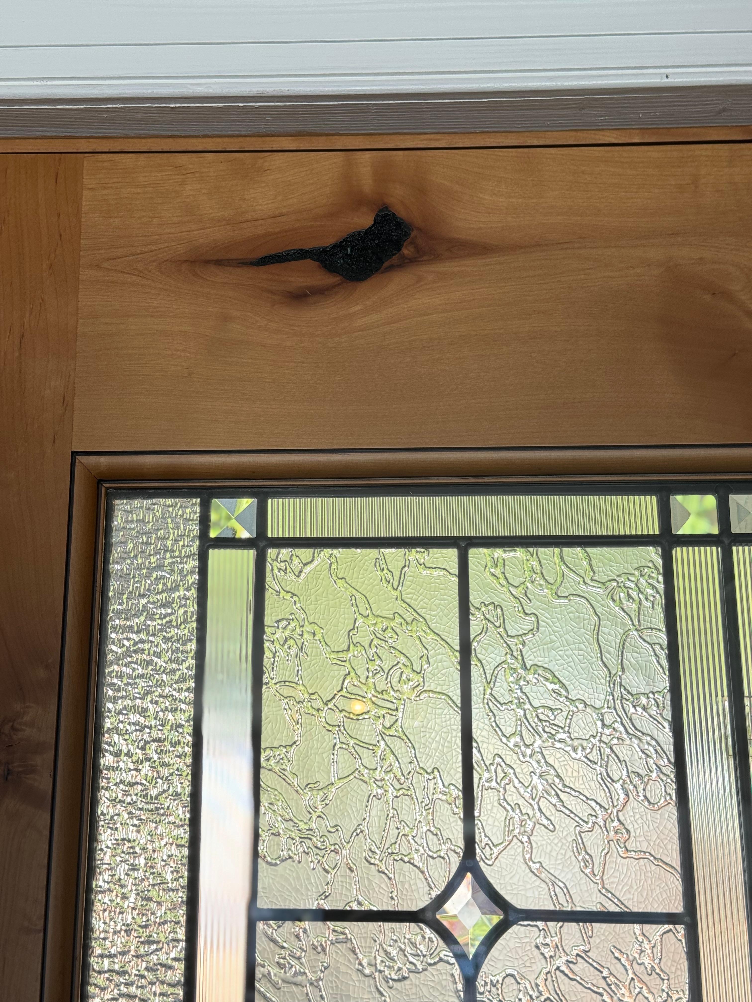 My son passed away from pediatric cancer in 2015 at 10 years old. We love getting signs from him. We saw this carving in the door and immediately thought it looked like a cardinal! 💛