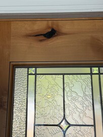 My son passed away from pediatric cancer in 2015 at 10 years old. We love getting signs from him. We saw this carving in the door and immediately thought it looked like a cardinal! 💛