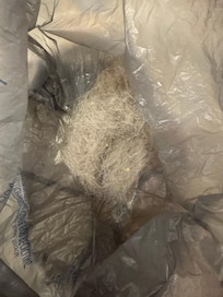 What I swept up on arrival