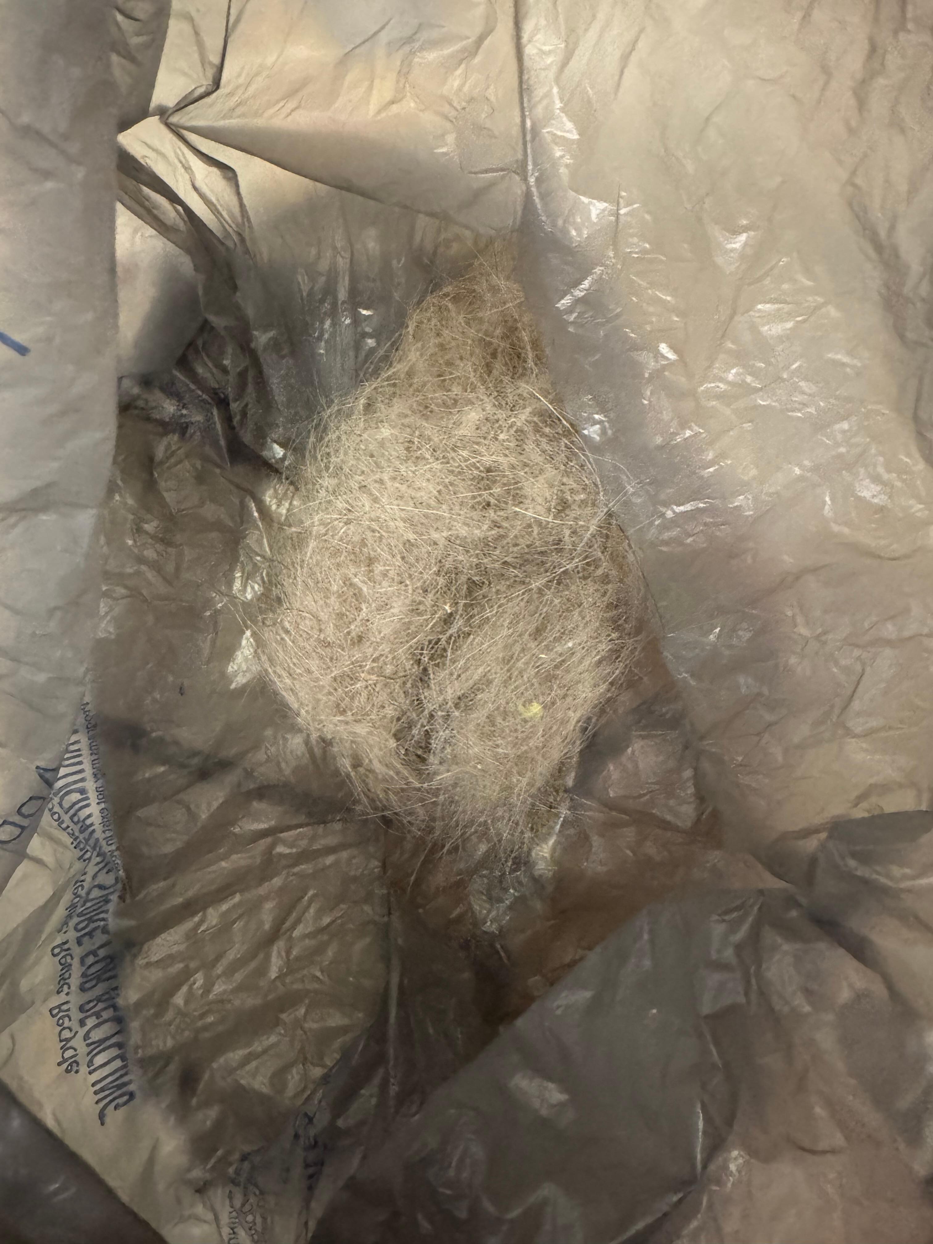 What I swept up on arrival 