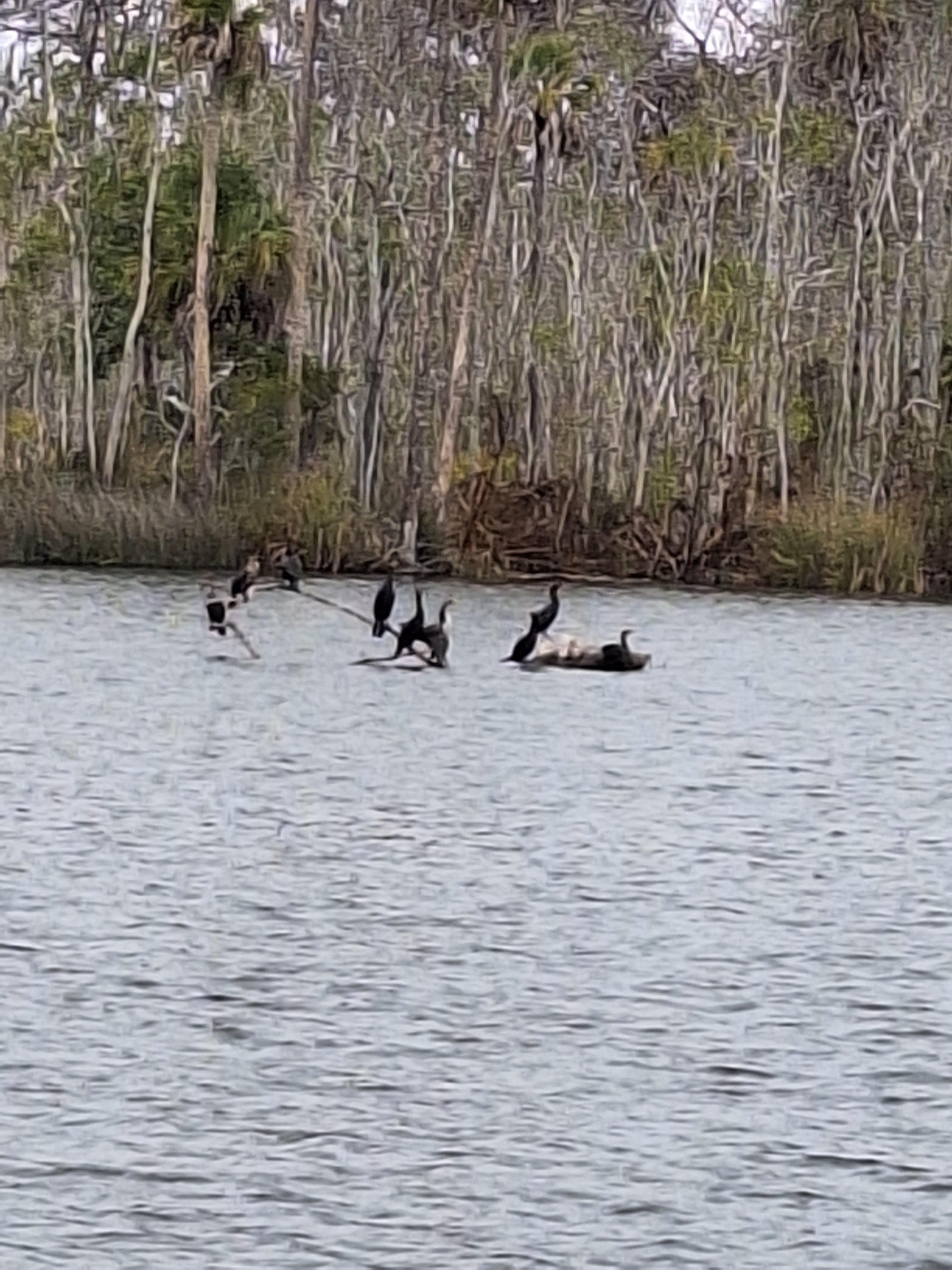 Peaceful ride on the water enjoying the birdwatching 