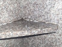 Mold/mildew in shower.