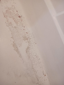 Horribly grime bathtub