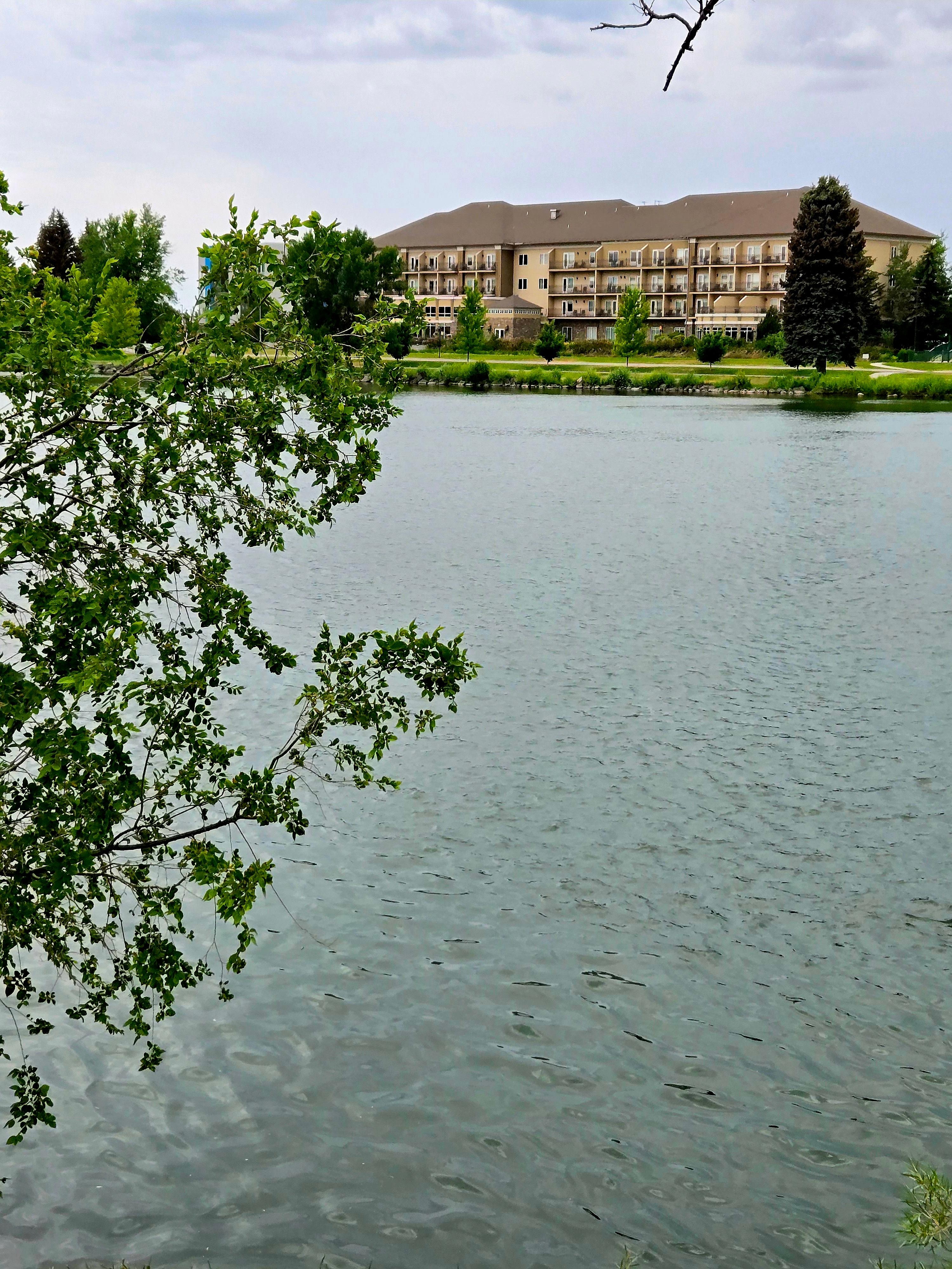 View of hotel, from across the Snake River