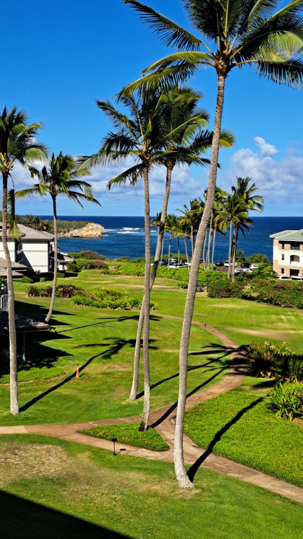 View from balcony looking towards Shipwreck Beach
