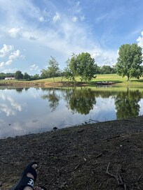 The shared pond across the street from the tiny homes.