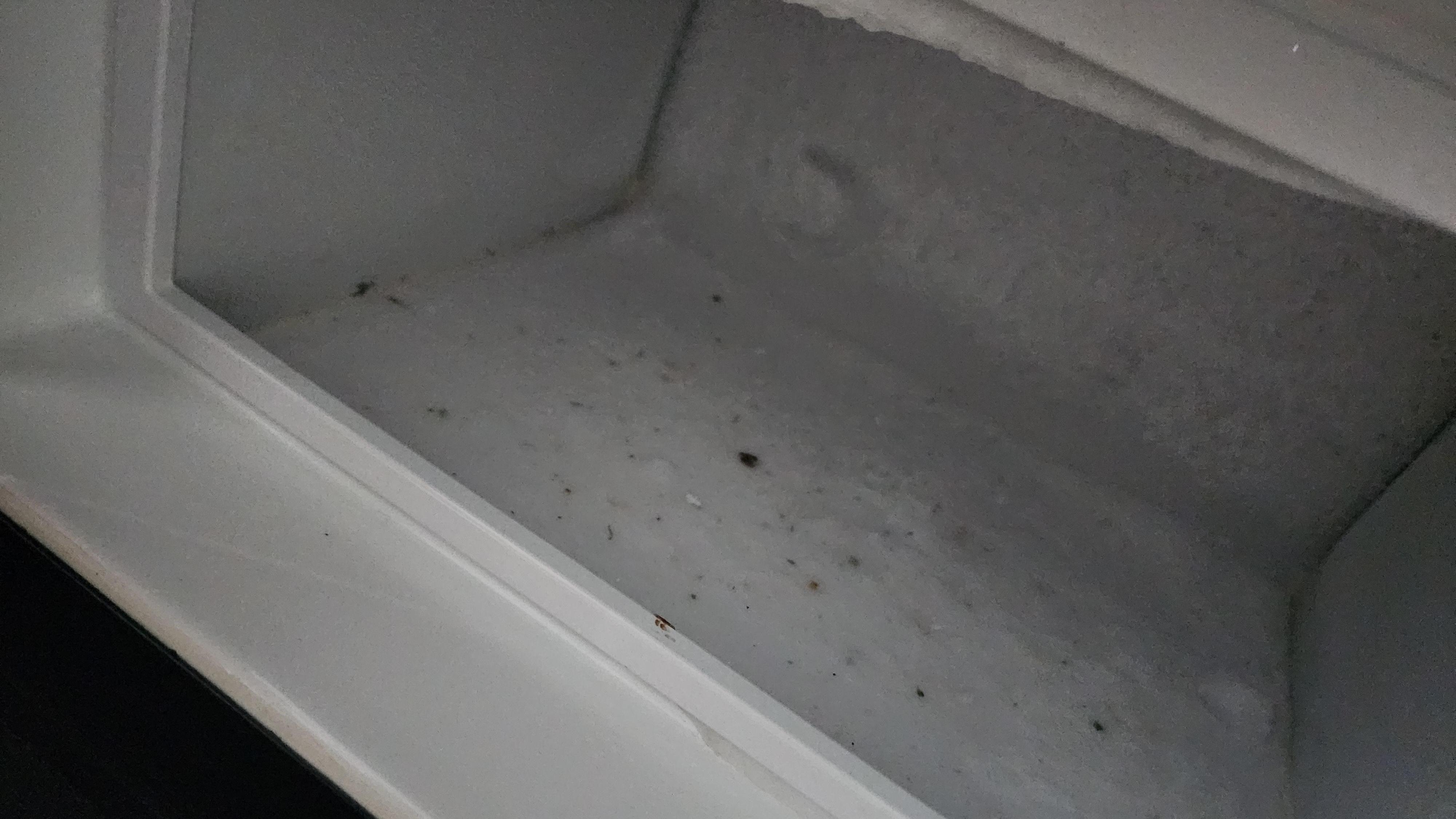 Freezer nasty and with mold