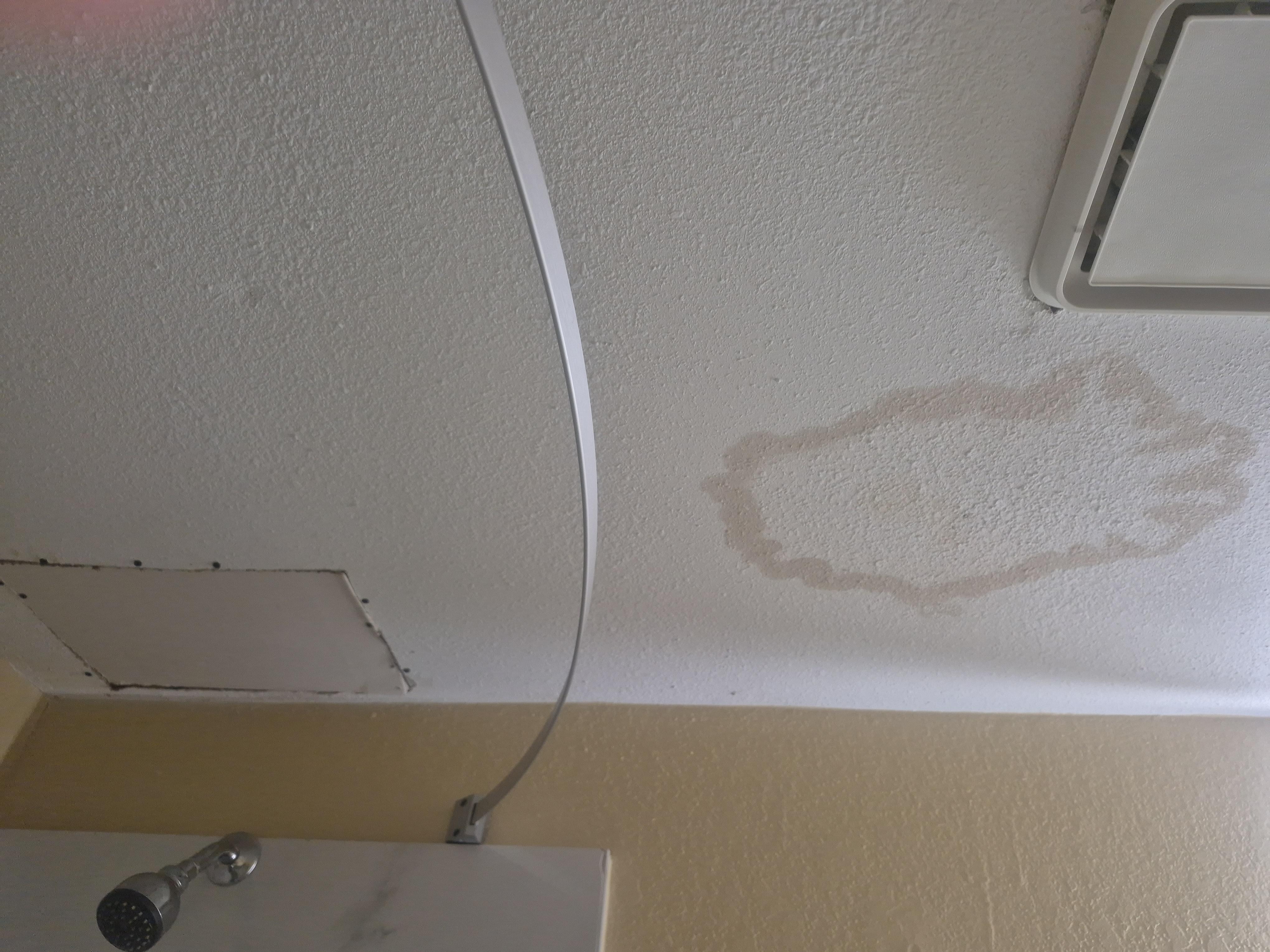 Bathroom ceiling.