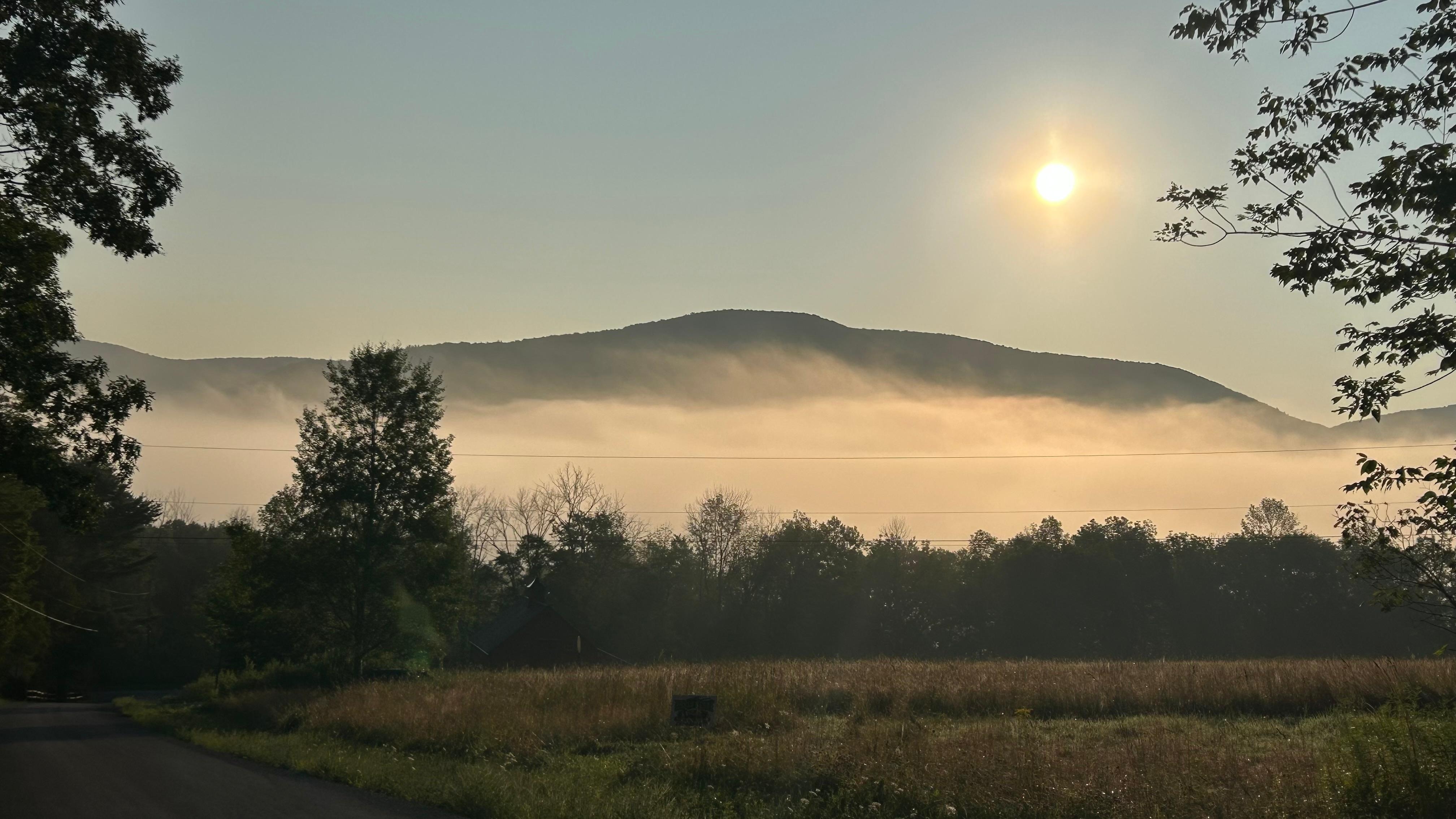 Amazing sunrise from one of our morning walks. 