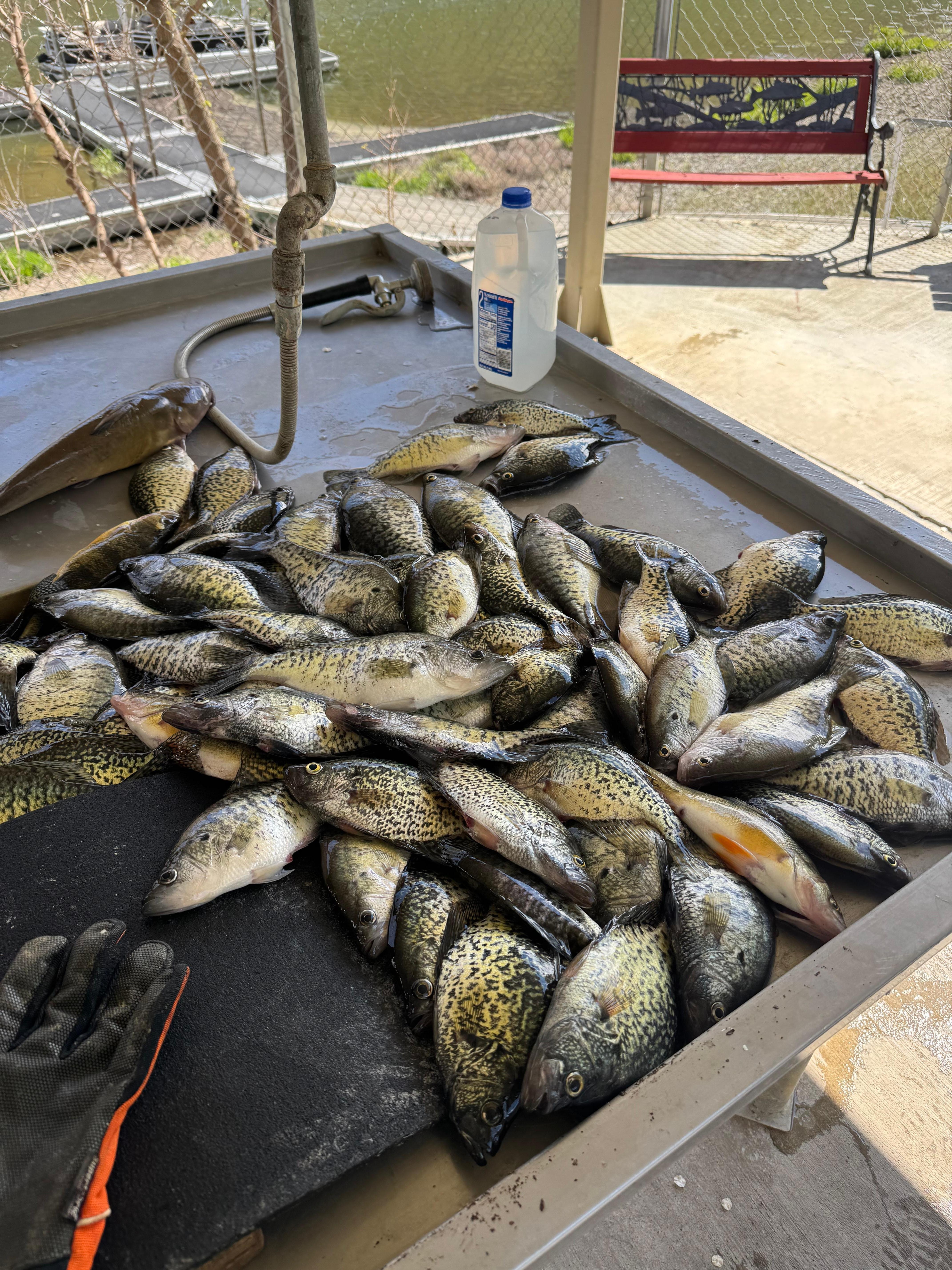 Fishing was great
