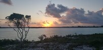 Sunrise from the house.