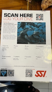 Shark dive description