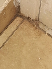 Nasty floors