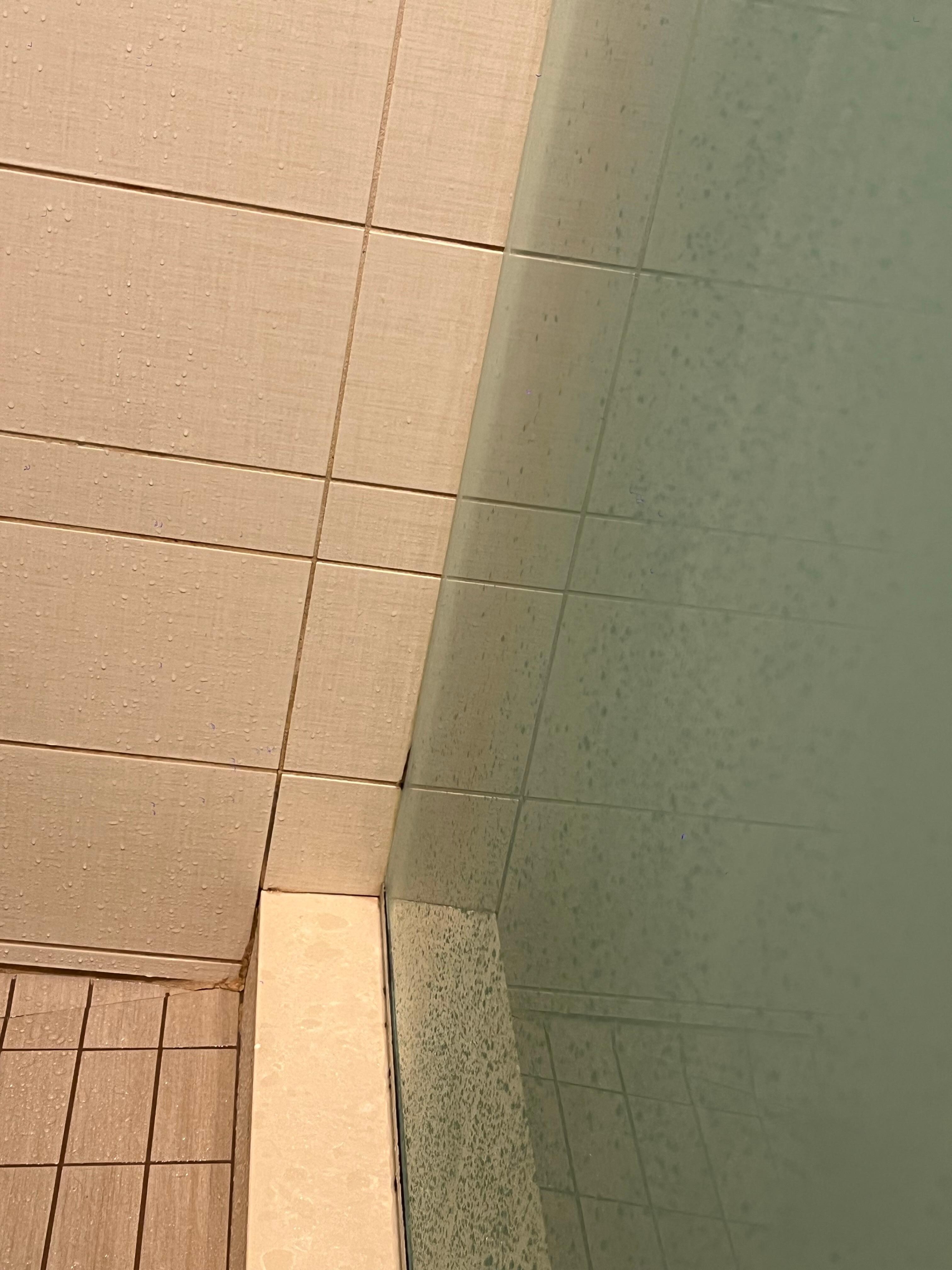 Mold in the shower
