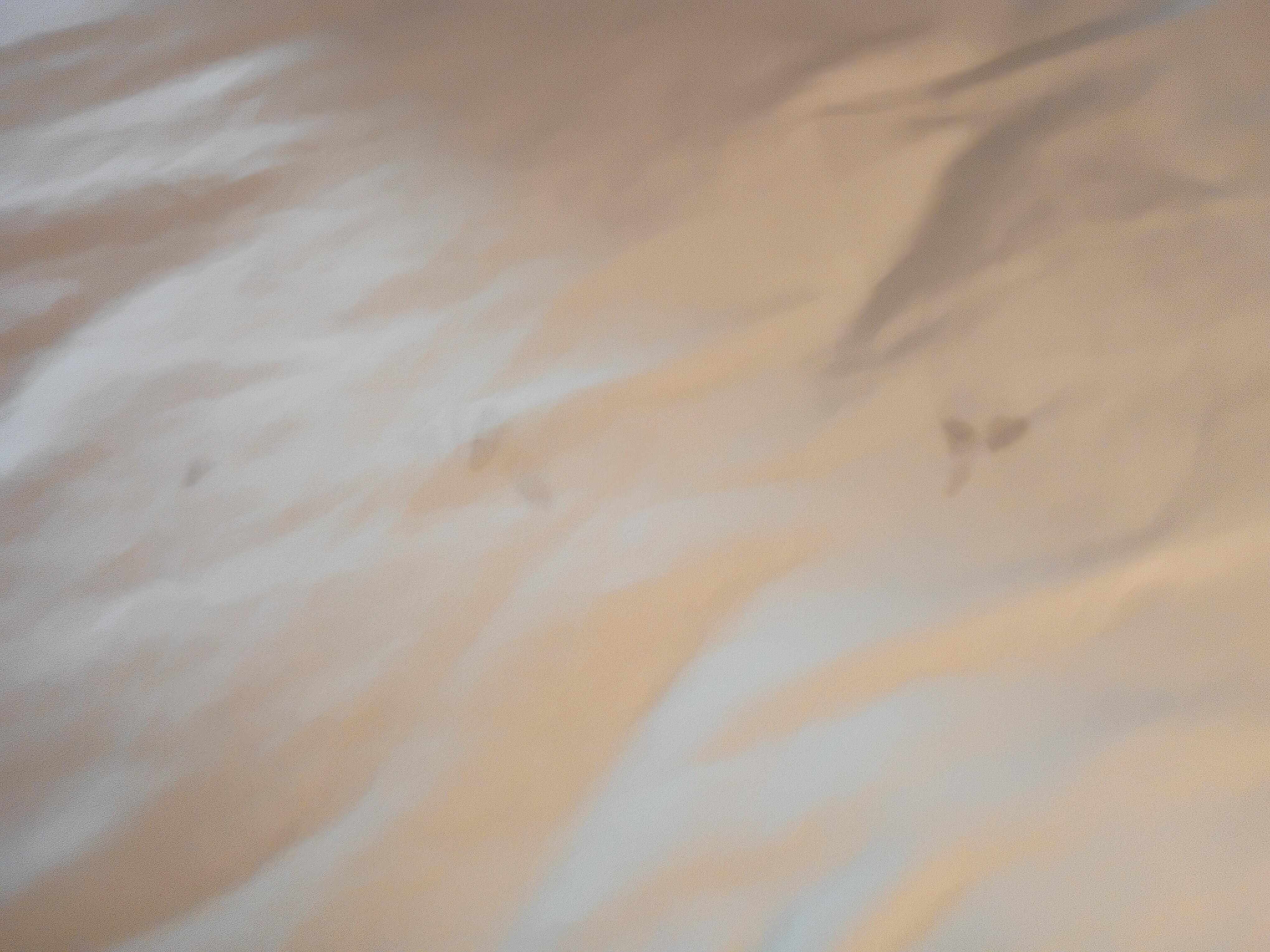 Large dark stains on the bed's fitted sheet