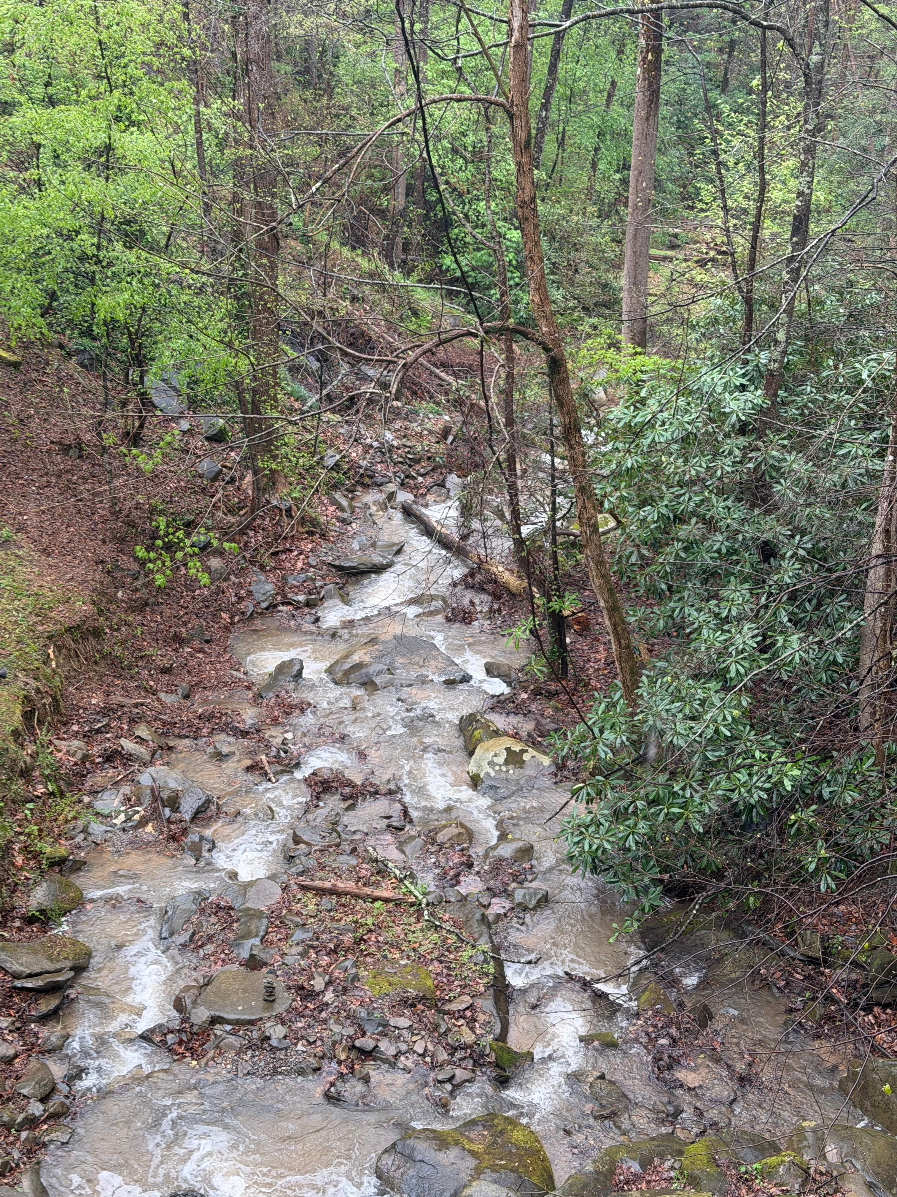 Looking over the balcony 