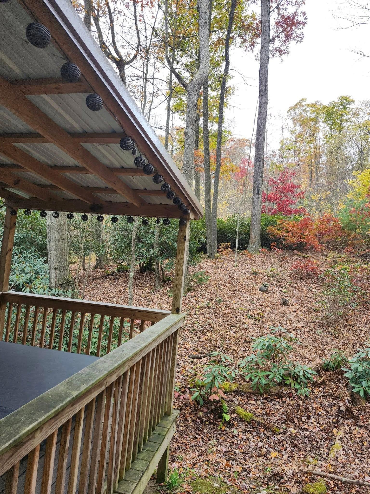 From the kitchen window.