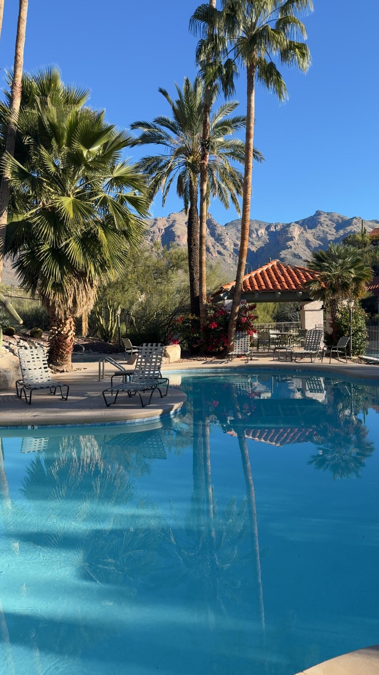 The heated pool, hot tub, and views were amazing, day and night 