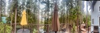 View from back deck.