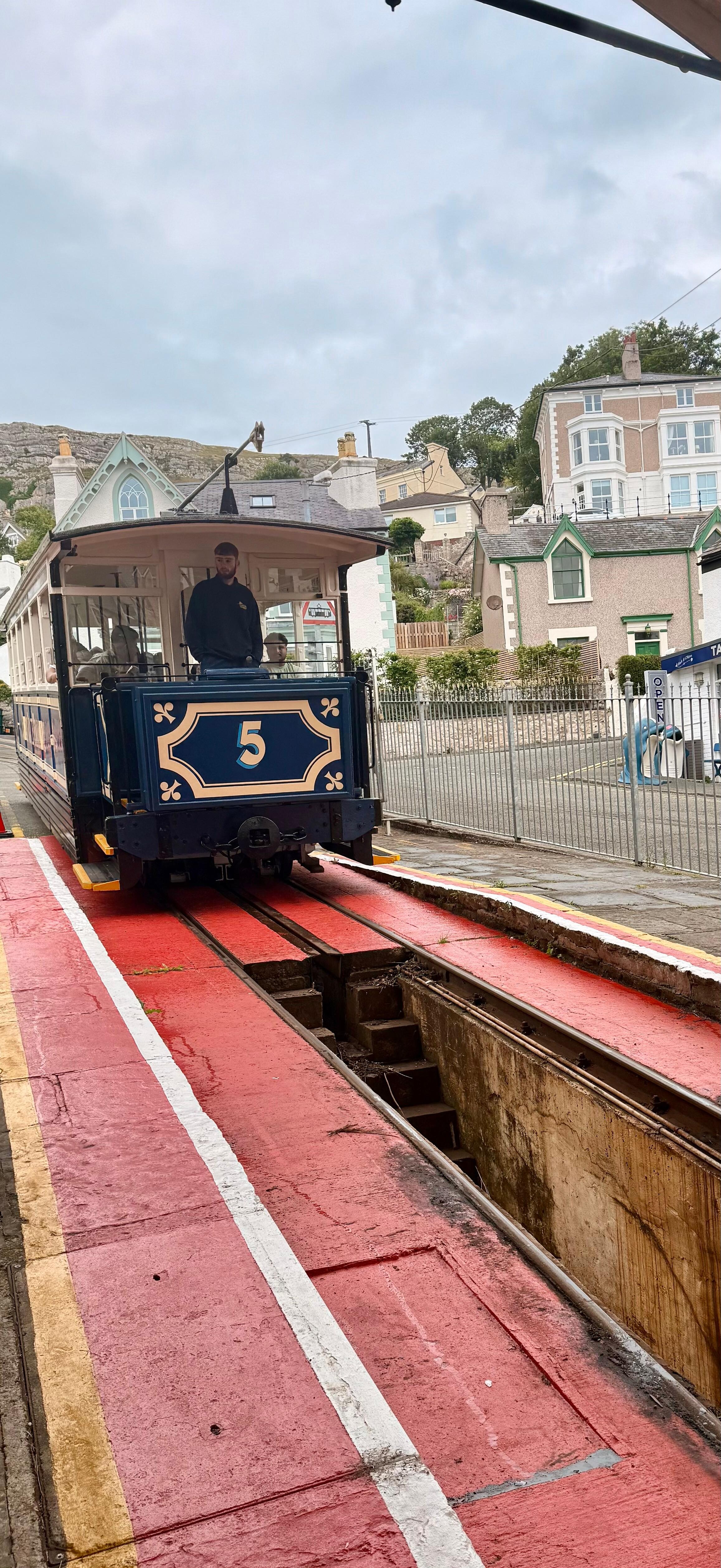Beautiful trams
