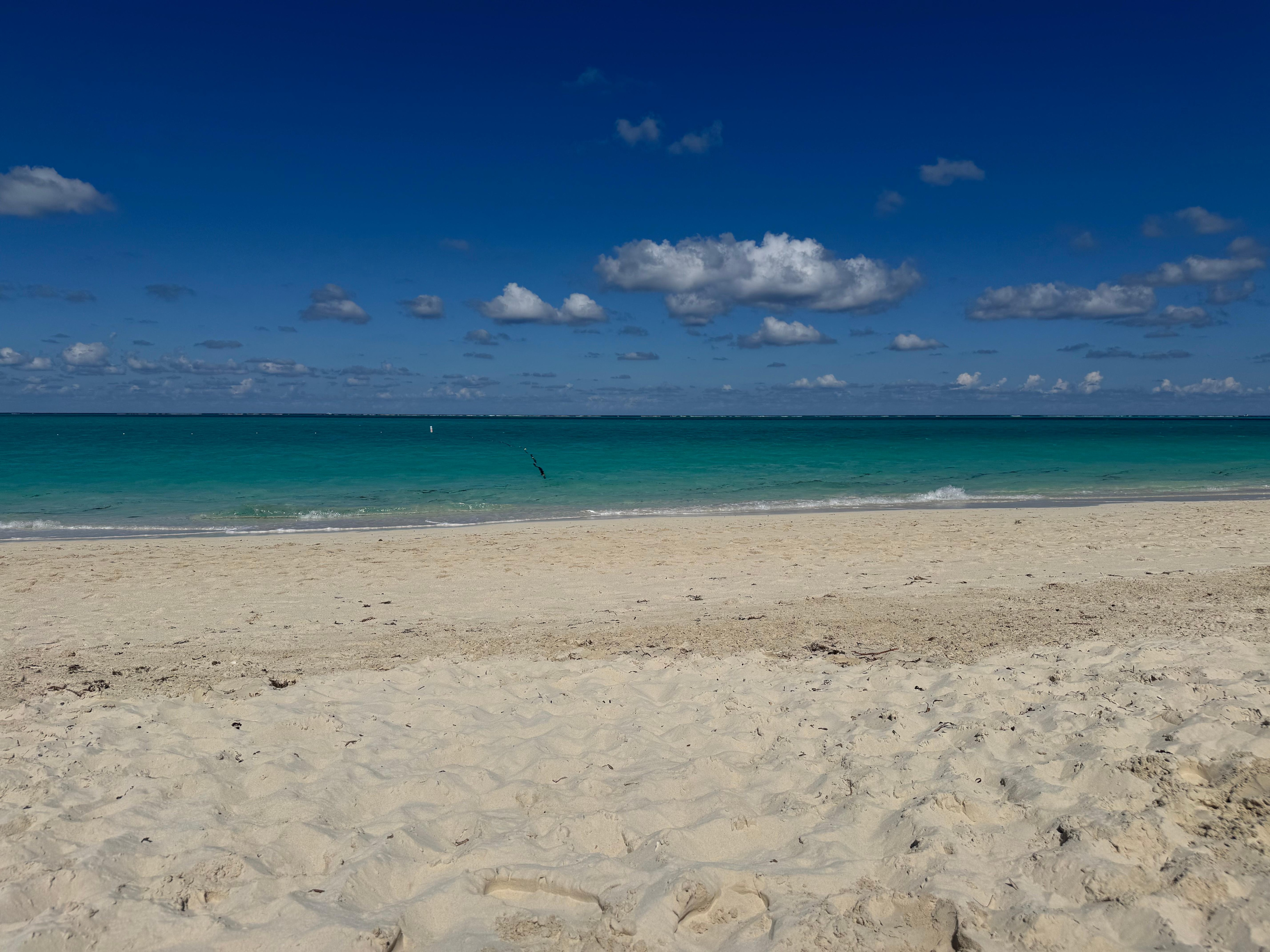 Grace bay doesn’t disappoint. Beautiful water and powder sand.