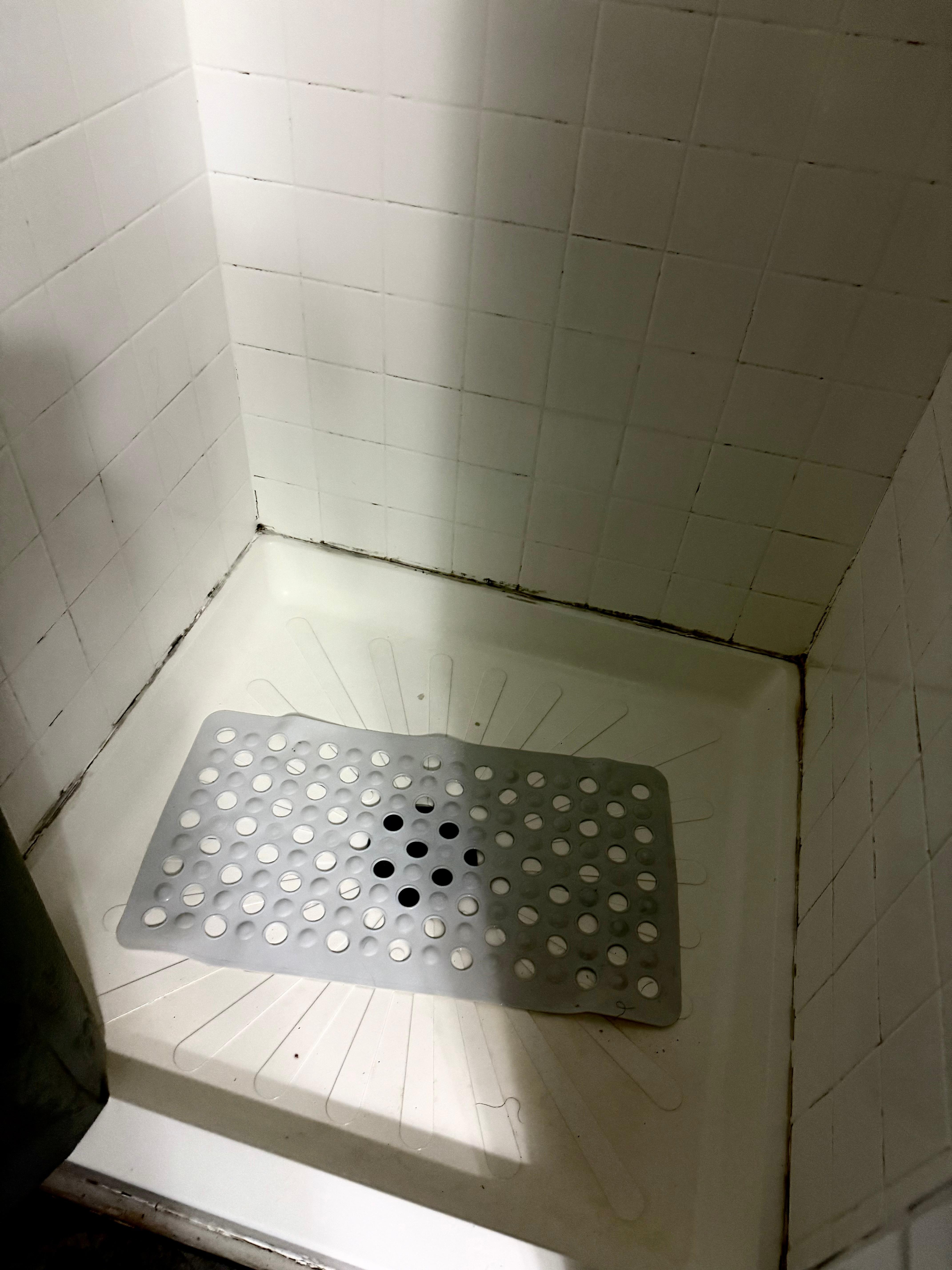 Moldy/mildew shower