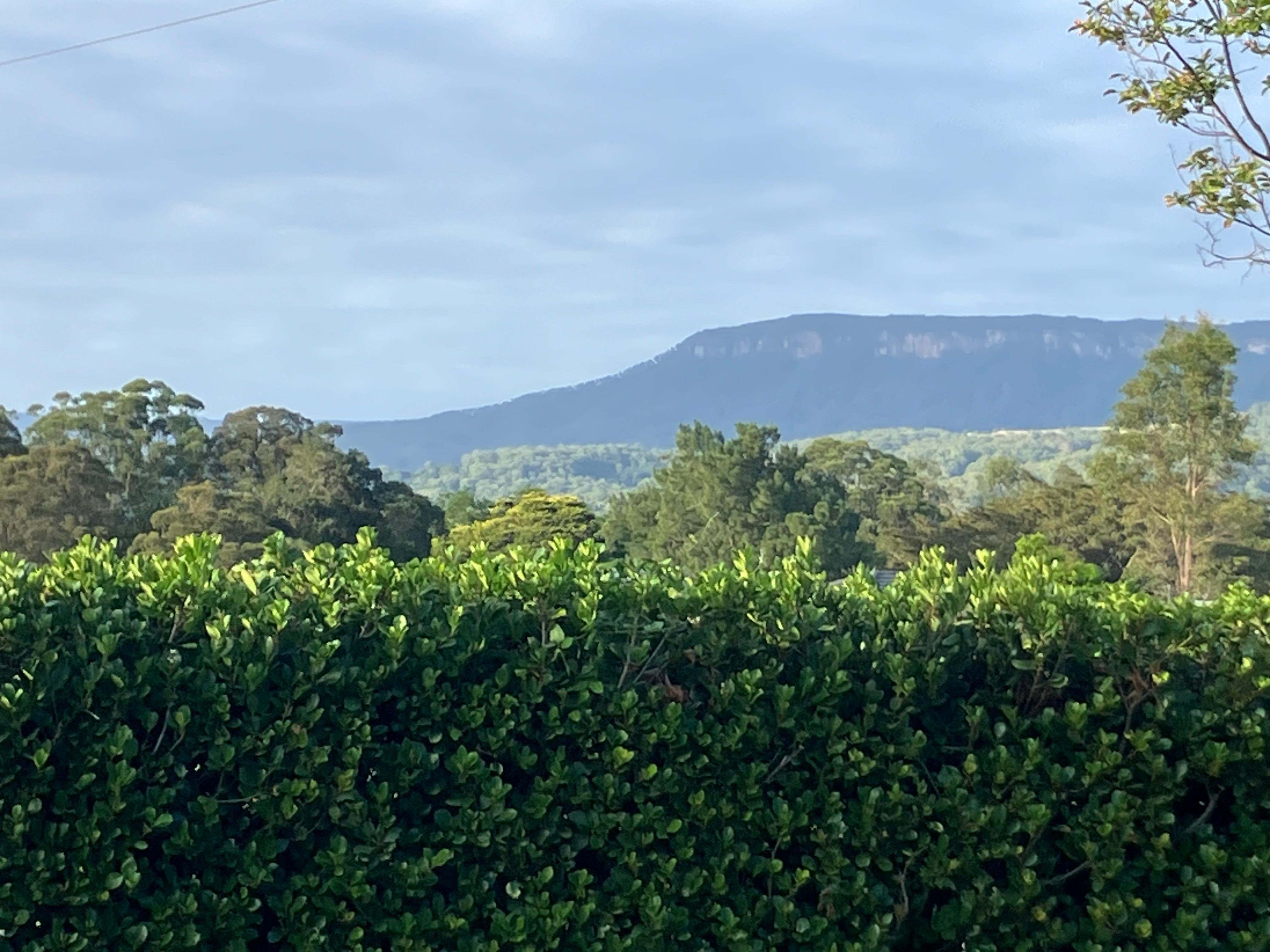 Morning view with cuppa